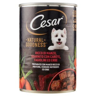 CESAR NG CAN 400G MANZO