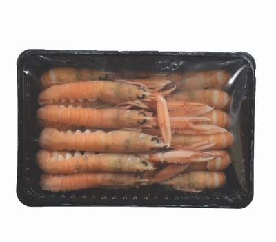 SCAMPI INTERI SURGEL.GR400
